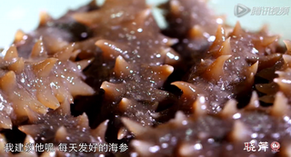 海參進(jìn)補(bǔ)從娃娃抓起，兒童吃海參的好處！